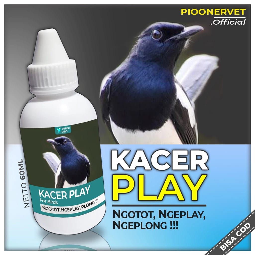 Vitamin burung KACER PLAY obat penggacor burung kicau meningkatkan stamina burung Kacer doping burun
