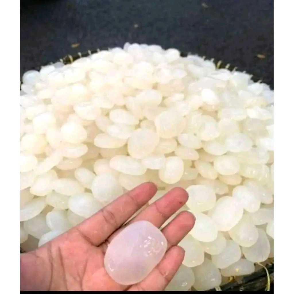 "Kolang Kaling Jumbo Segar"