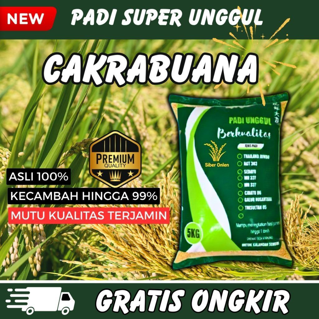 BENIH PADI CAKRABUANA 04, UNGGUL ORIGINAL 5 KG,