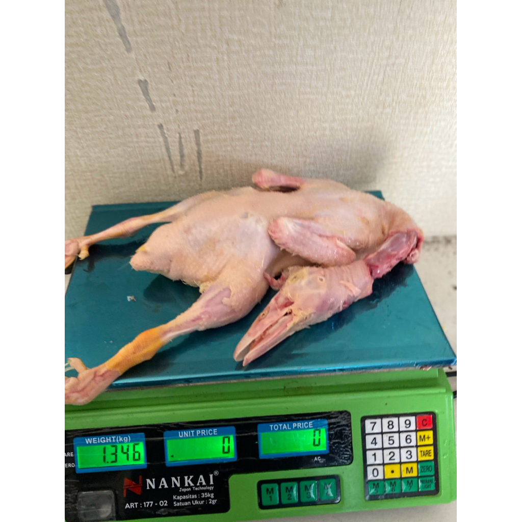 BEBEK POTONG 1kg Bebek frozen fres