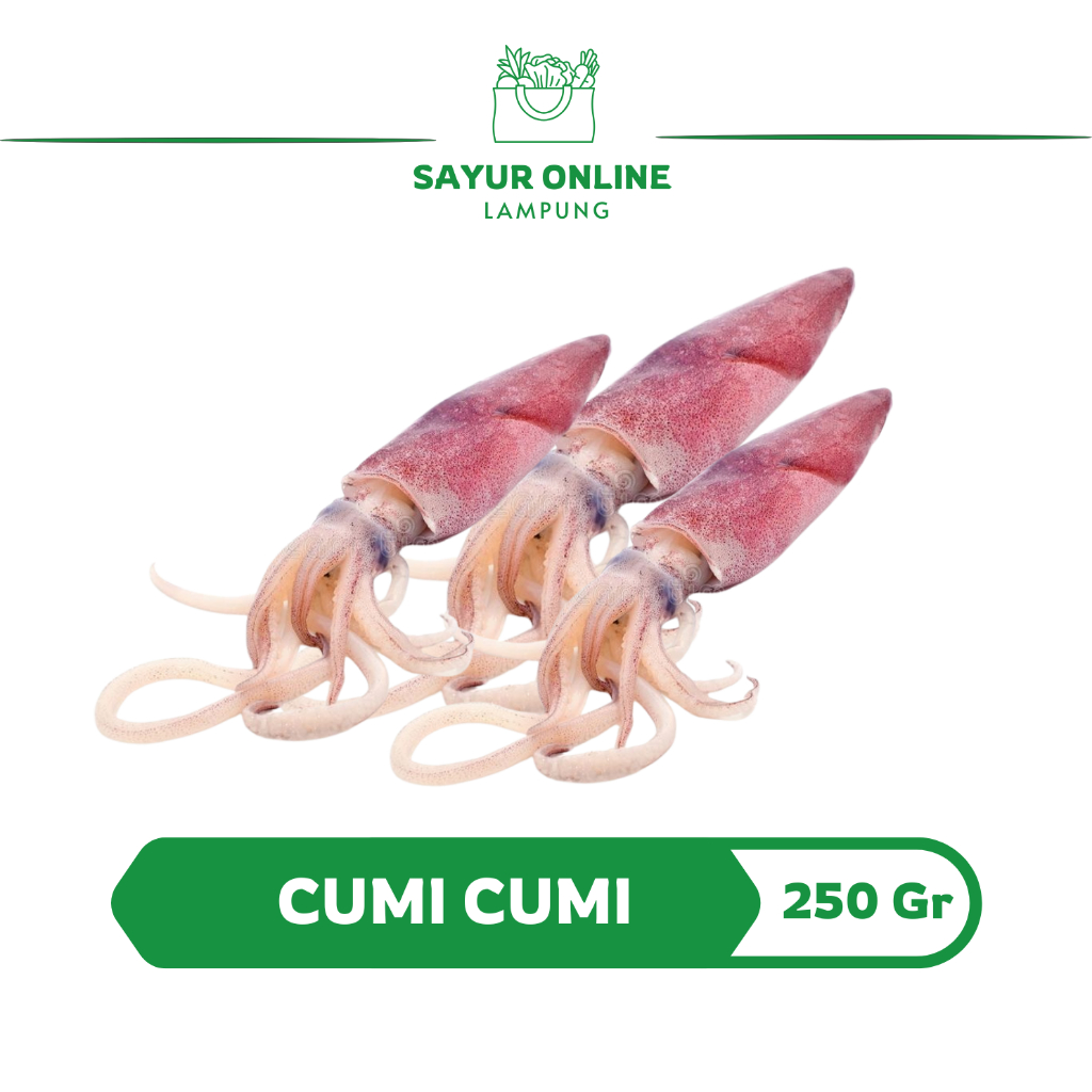 Cumi-Cumi Segar / Fres 250 gr - Sayur Online Lampung