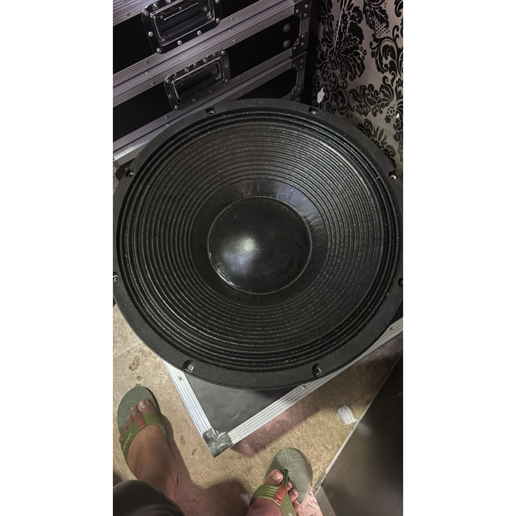 speaker phaselab s21xf4000