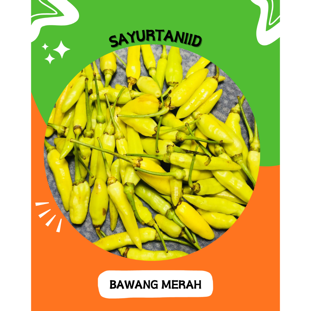 Cabai rawit putih / cabe rawit