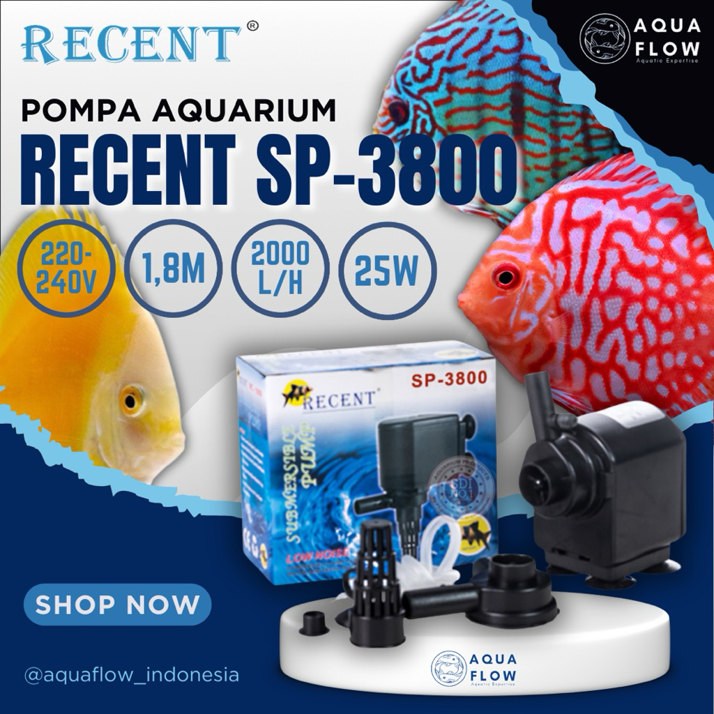 Pompa Aquarium Recent SP 3800 2000L/H 25W / Pompa Kolam / Pompa Aquarium