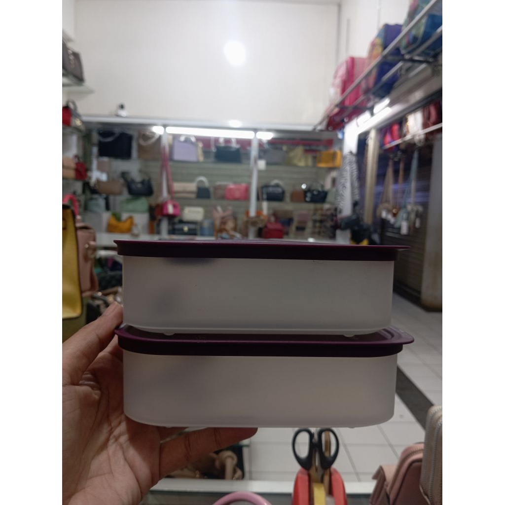 Tupperware Time Keeper Oval