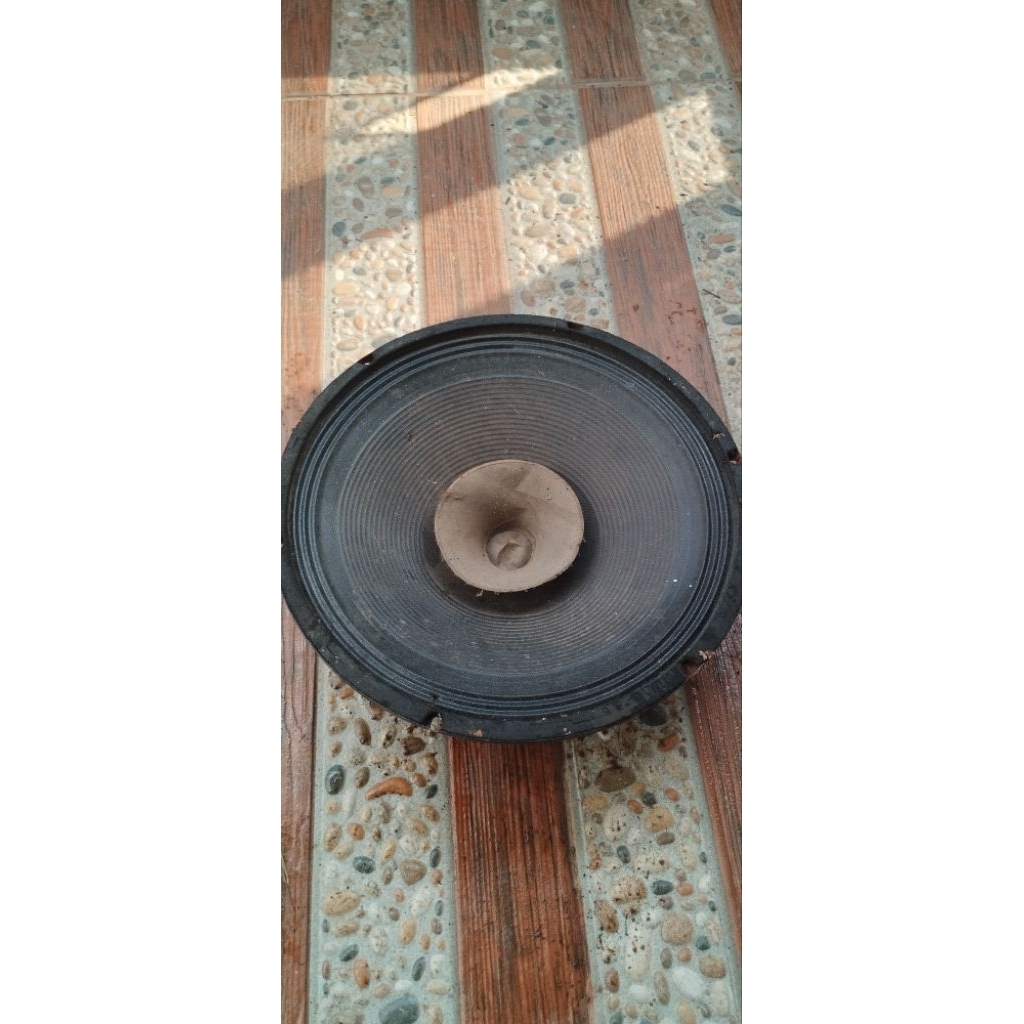 speaker 12 inch full range bekas, normal