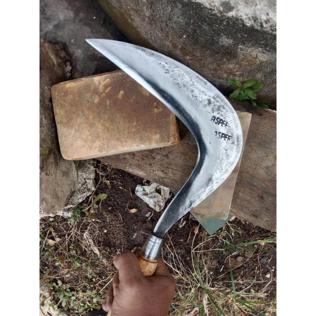 Sabit Arit Rumput Baja Asli Cap ASPER Super Tajam Model Jawa Premium Anti Tumpul Super Tajam Siap Pa