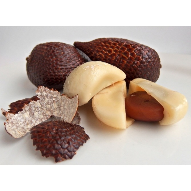 BIJI SALAK PONDOH ASLI