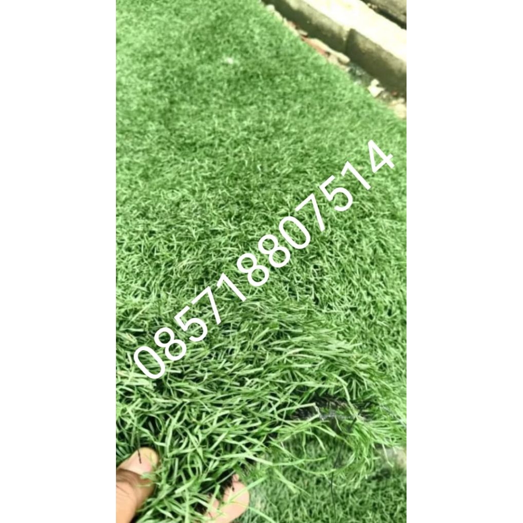 promo Rumput Sintetis Second harga murah