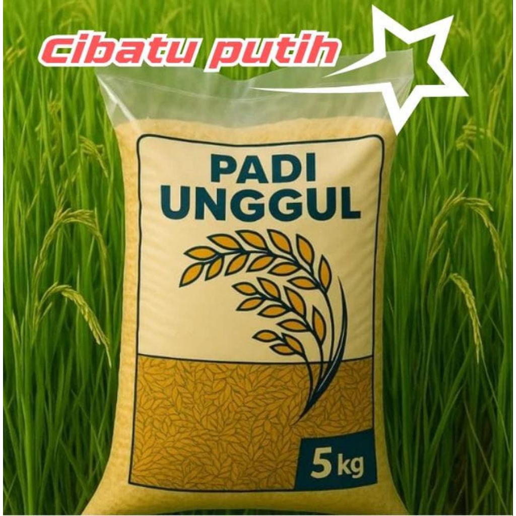 benih padi Cibatu putih kemasan 5 kg