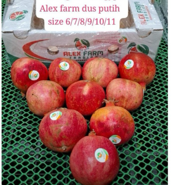 Delima India &  RRC / Buah India Import