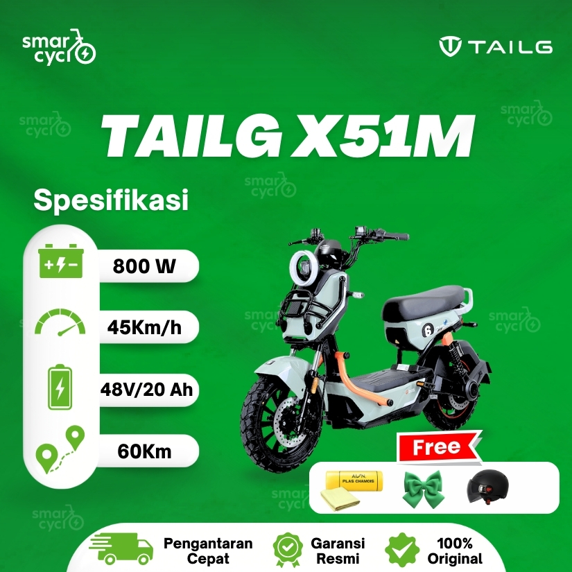 Sepeda Listrik Tailg X51M 800W 48V 20AH