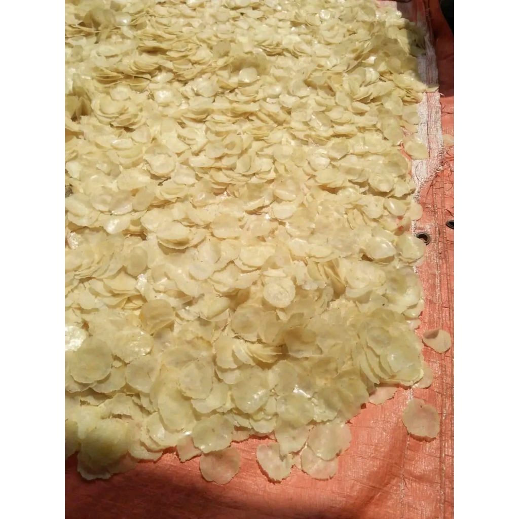 EMPING MELINJO MENTAH 1KG SUPER | EMPING MENTAH ASLI KHAS KEBUMEN