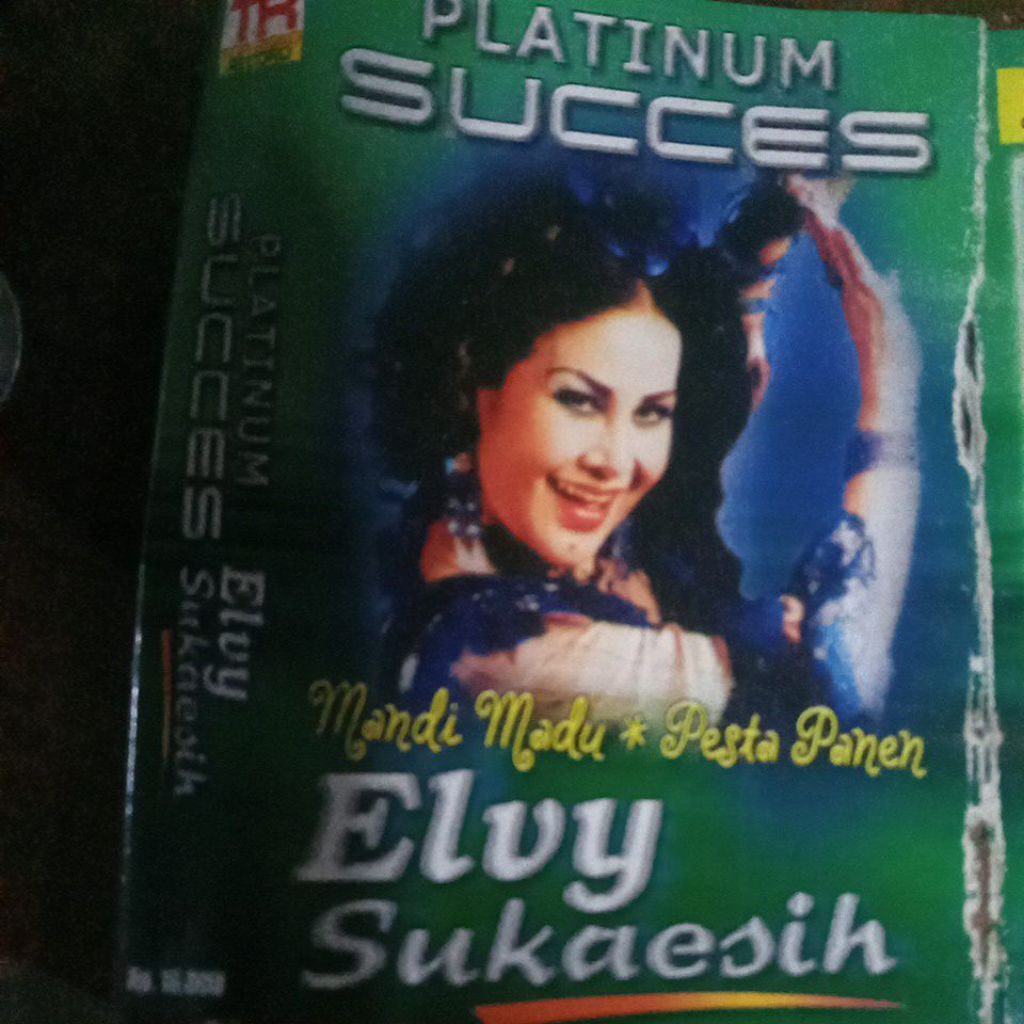kaset pita ELVY SUKAESIH DA142