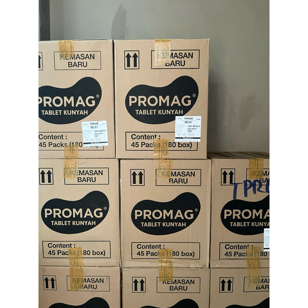 Promag Tablet 1 Karton Isi 45 Pack
