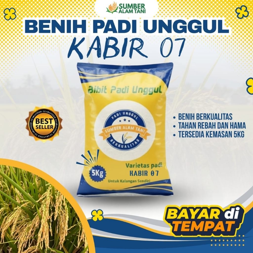 Bibit padi unggul KABIR 07 kemasan 5 kg