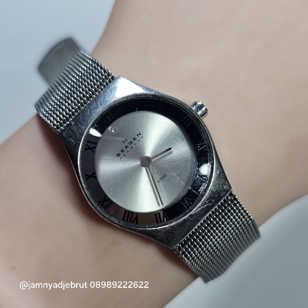 Jam Skagen Denmark SKW2044 Silver Ladies Bekas