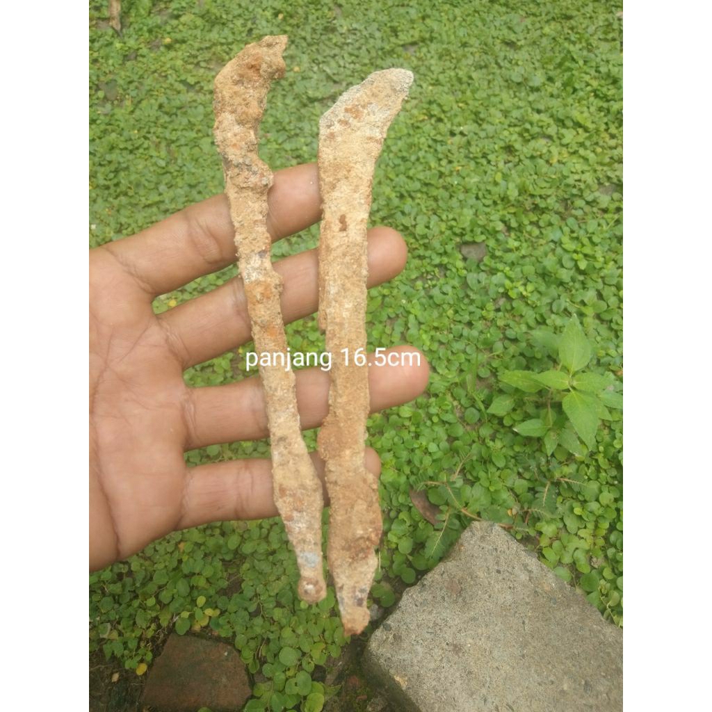 macam koleksi  temuan darat