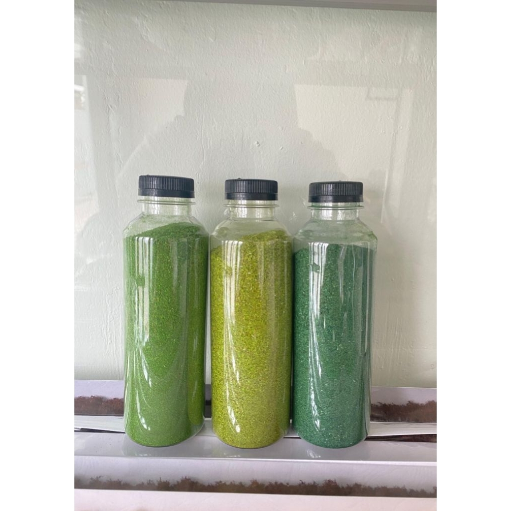 SerbukRumput-RumputTaburMaket/Miniatur