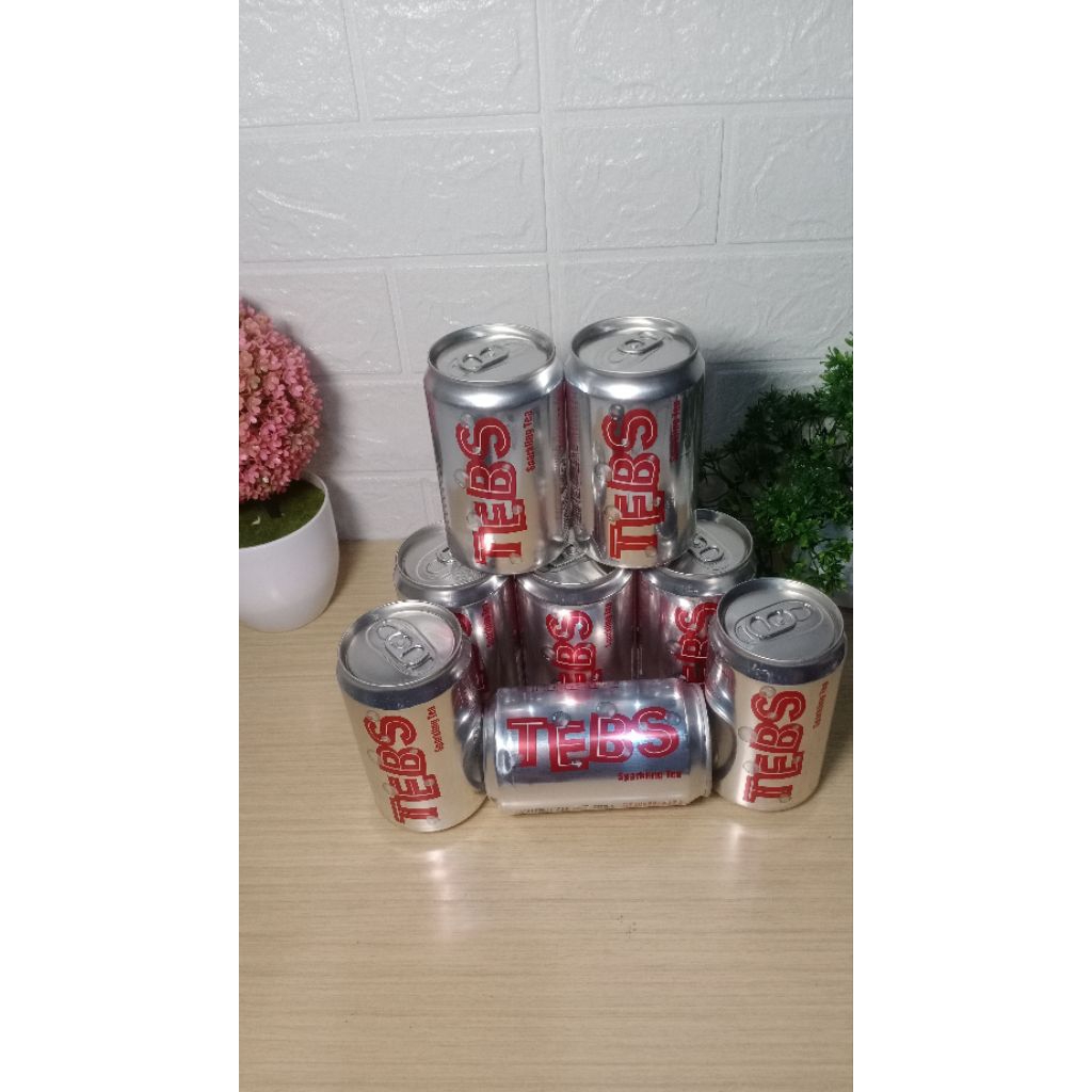 Tebs Kaleng 330 ml pcs an