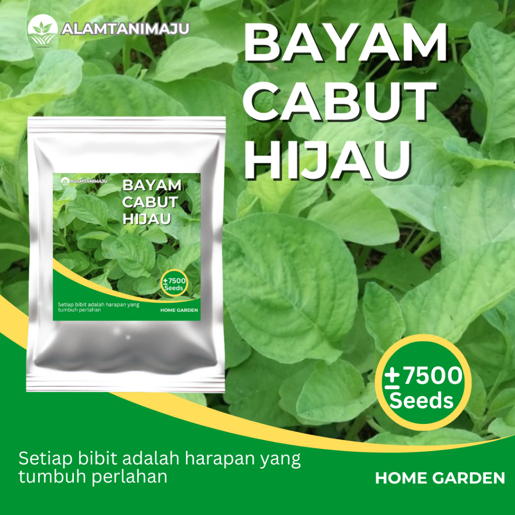 Alamtani - Benih Bayam Cabut Hijau Bibit Sayuran Bayam Hijau Cabut Isi ± 7500 Seeds