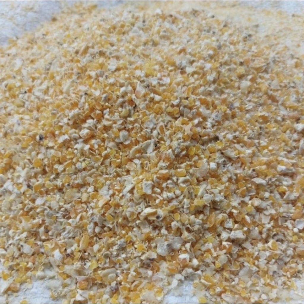 Jagung Giling 100% Jagung Murni Kering Pakan Ternak