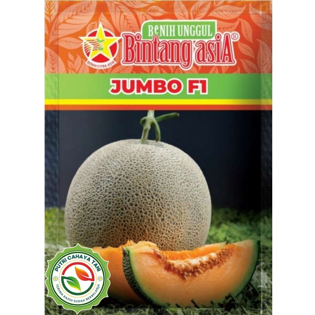 Benih Melon JUMBO 20 Gram Bintang Asia