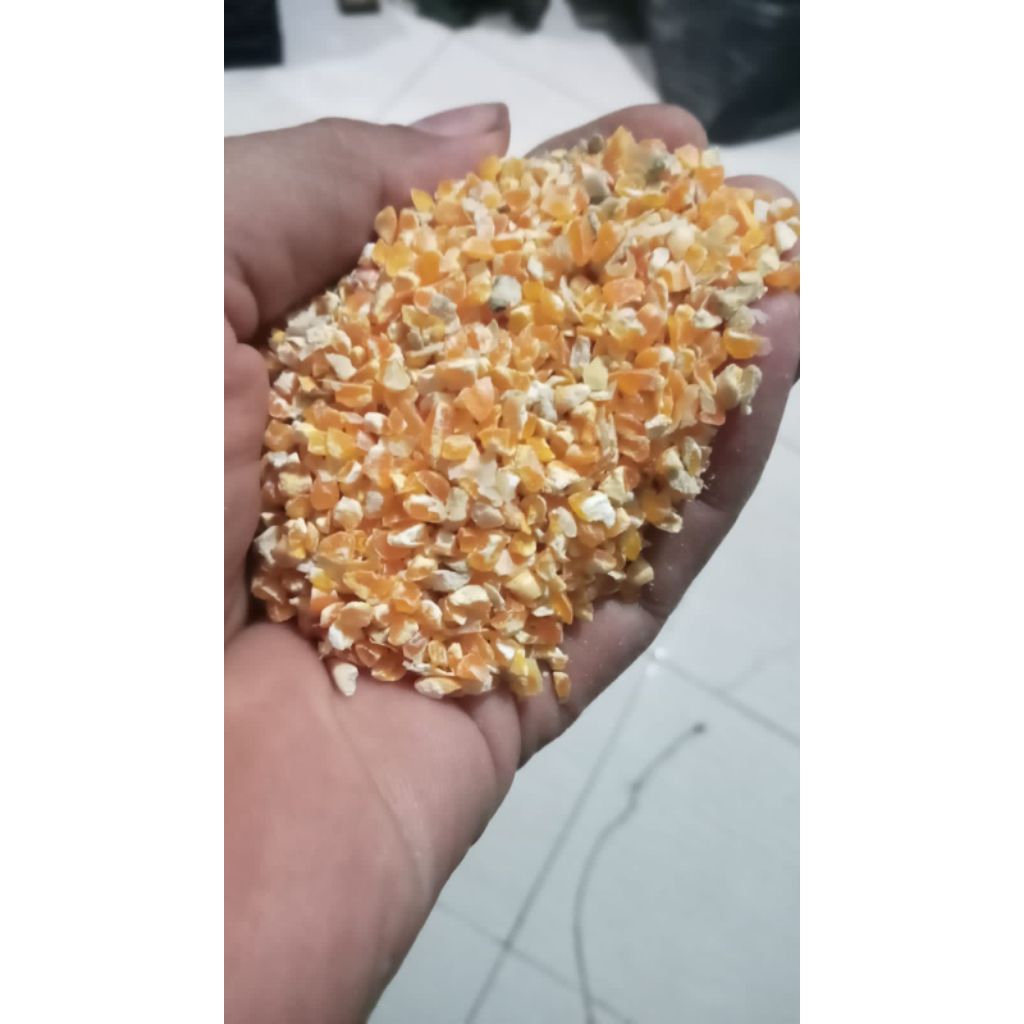 jagung pecah / menir/ jagung pipil/dedak jagung,l 1kg -
