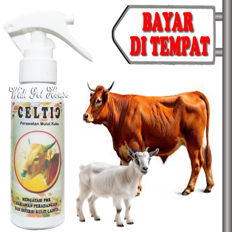 Obat Sariawan Sapi kambing Sakit Mulut Kuku PMK ORF Celtic Spray