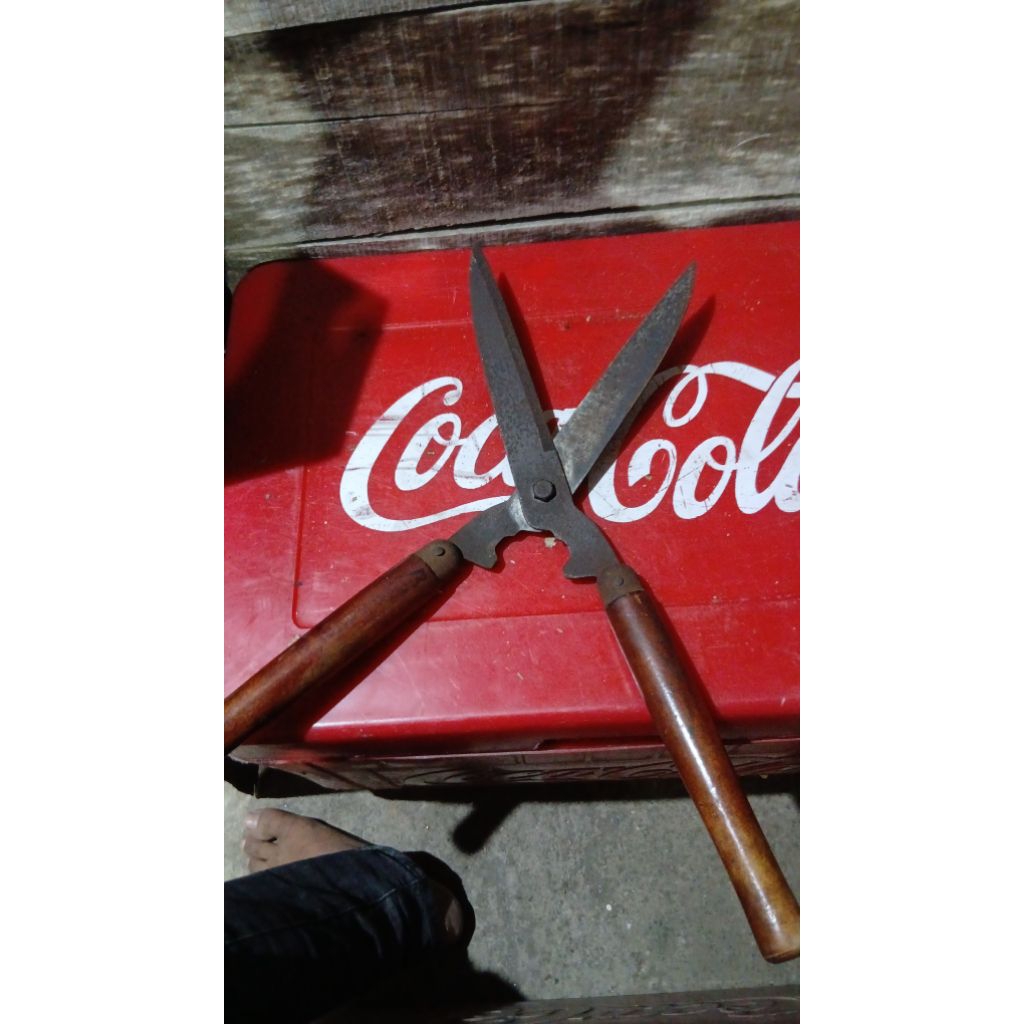 Gunting pemotong rumout 145k jadul antik kuno lawas vintage display