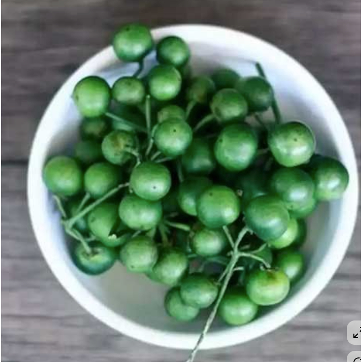 Sayur Lenca Leunca Segar Berkualitas - pasar anyar bogor