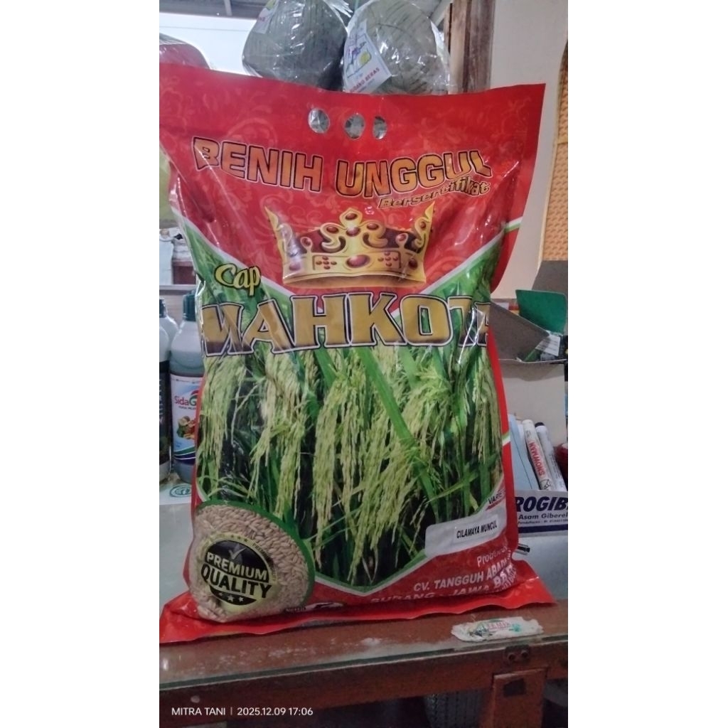 BENIH UNGGUL BIBIT PADI INBRIDA MUNCUL CILAMAYA JUMBO PREMIUM cap MAHKOTA 5KG exp 2026