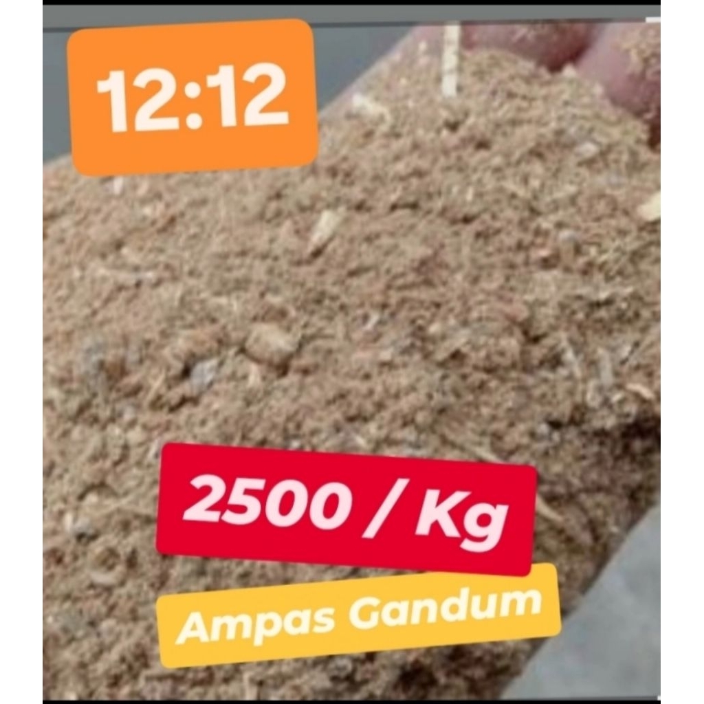 Ampas Gandum Pakan Ternak. Pakan Ternak Murah. Ampas Bir . Ampas Gandum. Pakan Ternak Alternatif. Pa