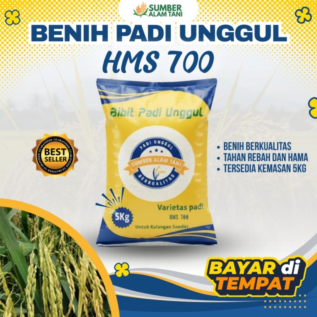 bibit padi unggul HMS 700 Super kemasan 5 kg
