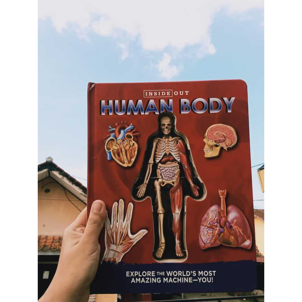 Inside Out Human Body (Boardbook)