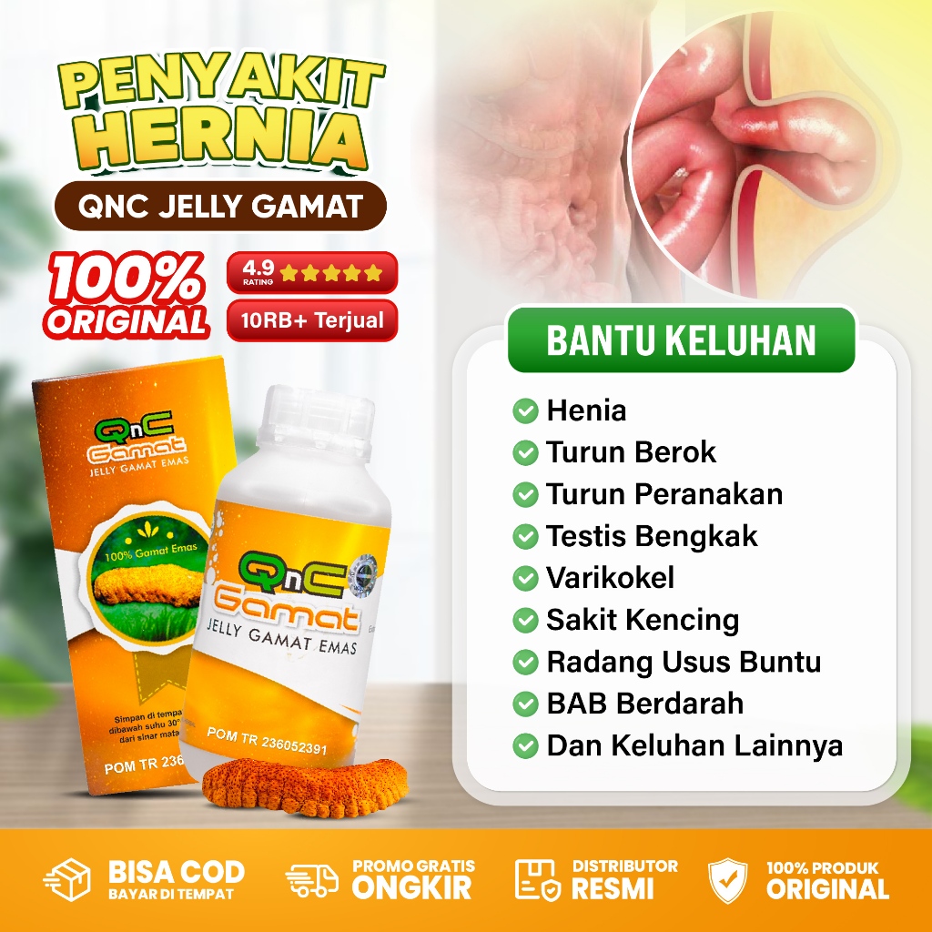 Obat Hernia Turun Berok Peranakan Pria Dewasa Testis Bengkak Varikokel Benjolan Di Perut Hidrokel Va