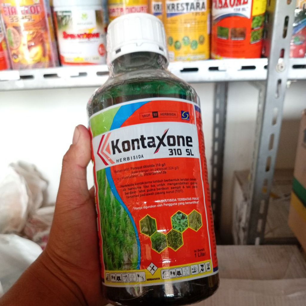 Kontaxone 310 sl