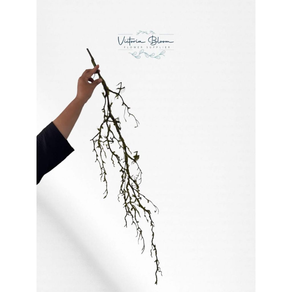 Ranting Artificial Panjang Dekorasi Rustic • Ranting Hias Ornamen Vas