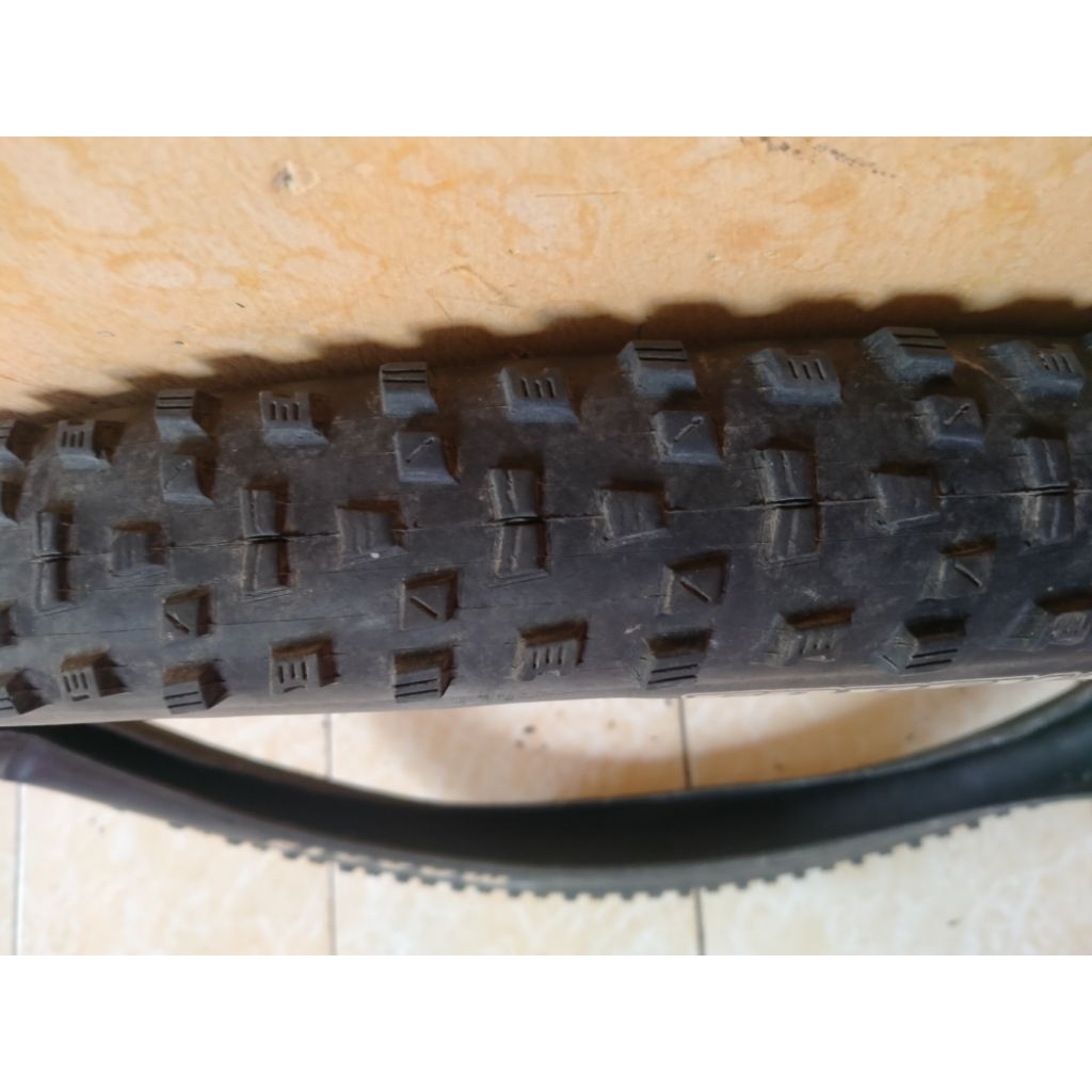 ban mtb maxxis forekaster