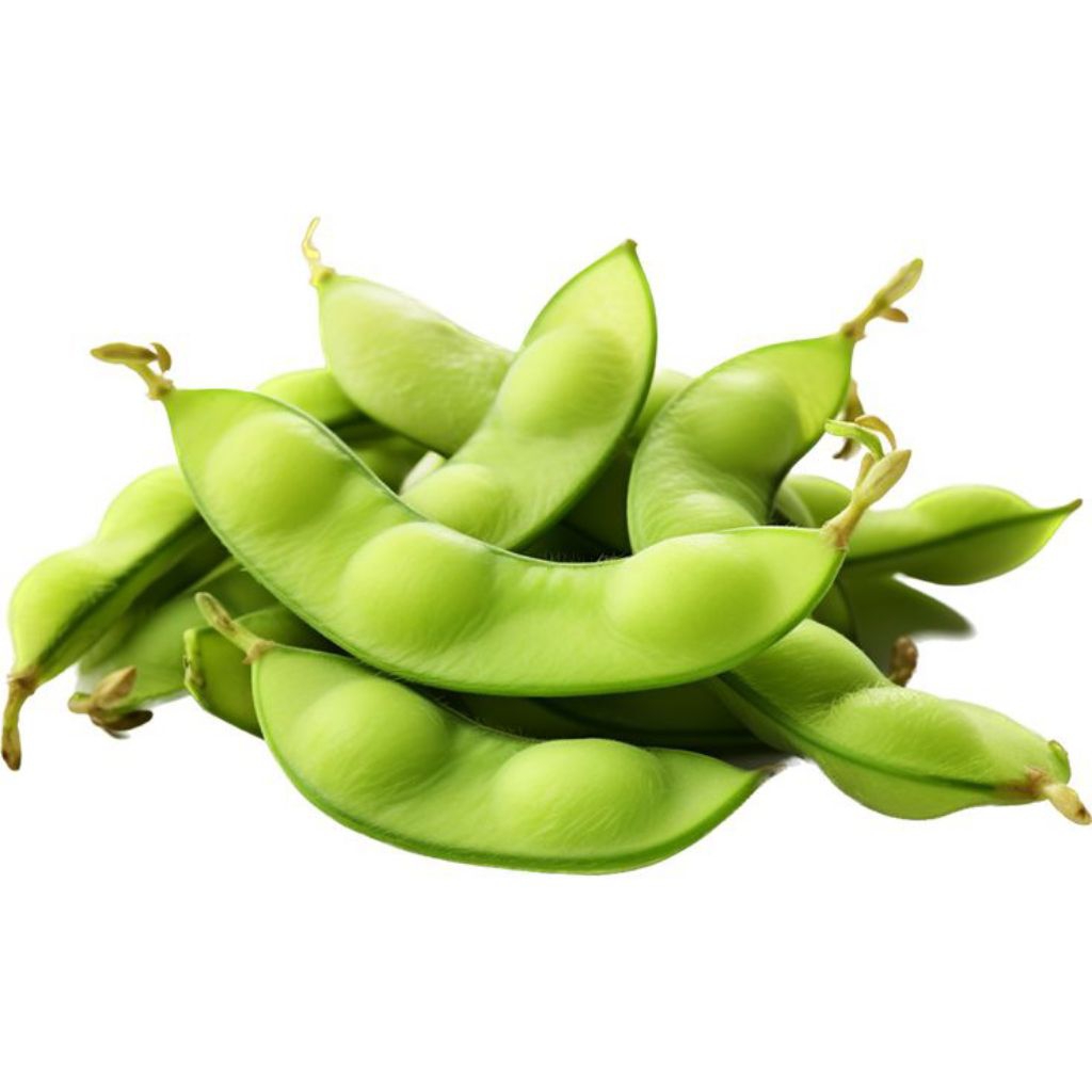 READY Edamame Fresh (1kg/1000g) Asli Jember