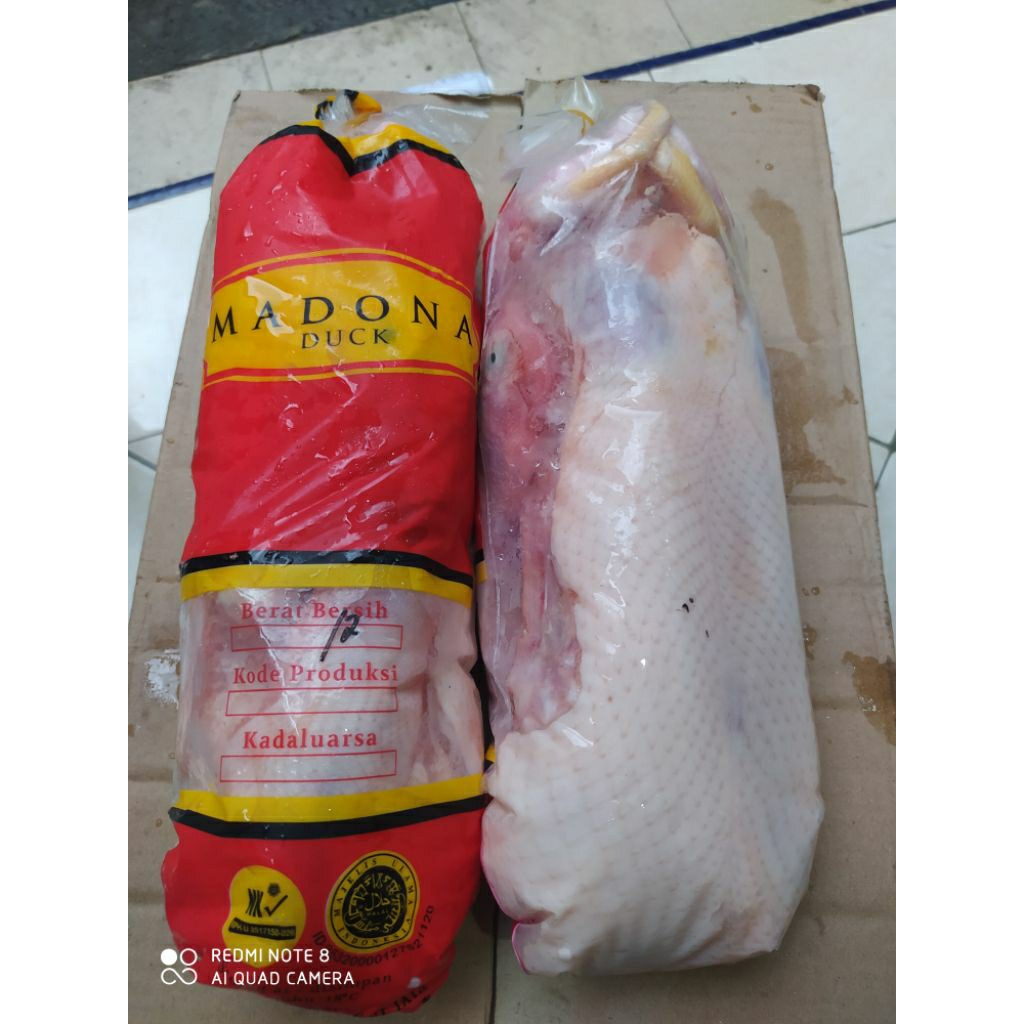 Bebek hibrida 1,2kg