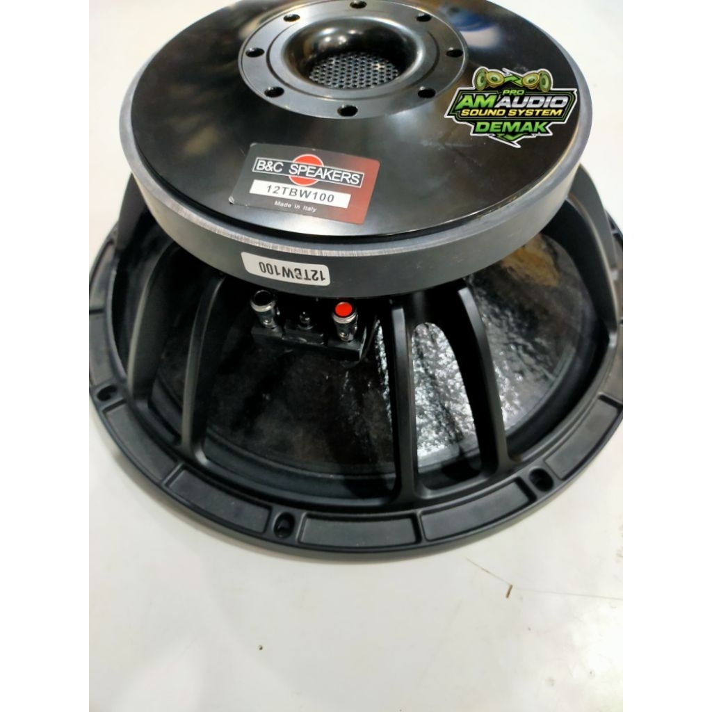 Speaker 12inch BNC 12TBW100