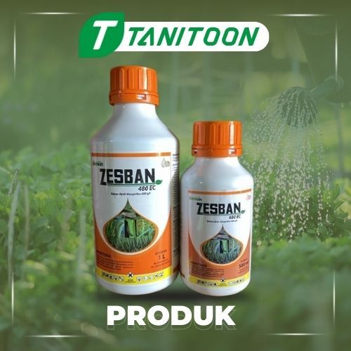 ZESBAN 400 EC INSEKTISIDA : KLORPIRIFOS 400EC/ SAMA DUSTBAN