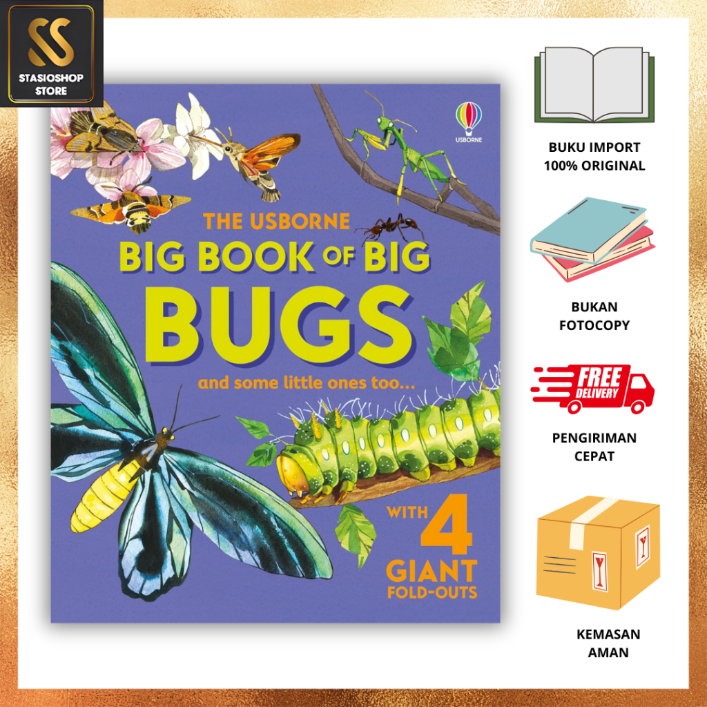 BIG BOOK OF BIG BUGS | 9781836040255
