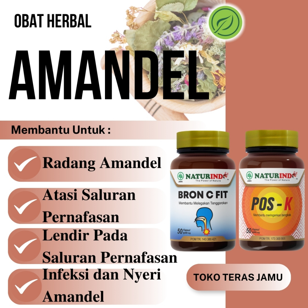 Obat Amandel Akut Faringitis Bengkak Herbal Naturindo Ampuh Tanpa Operasi