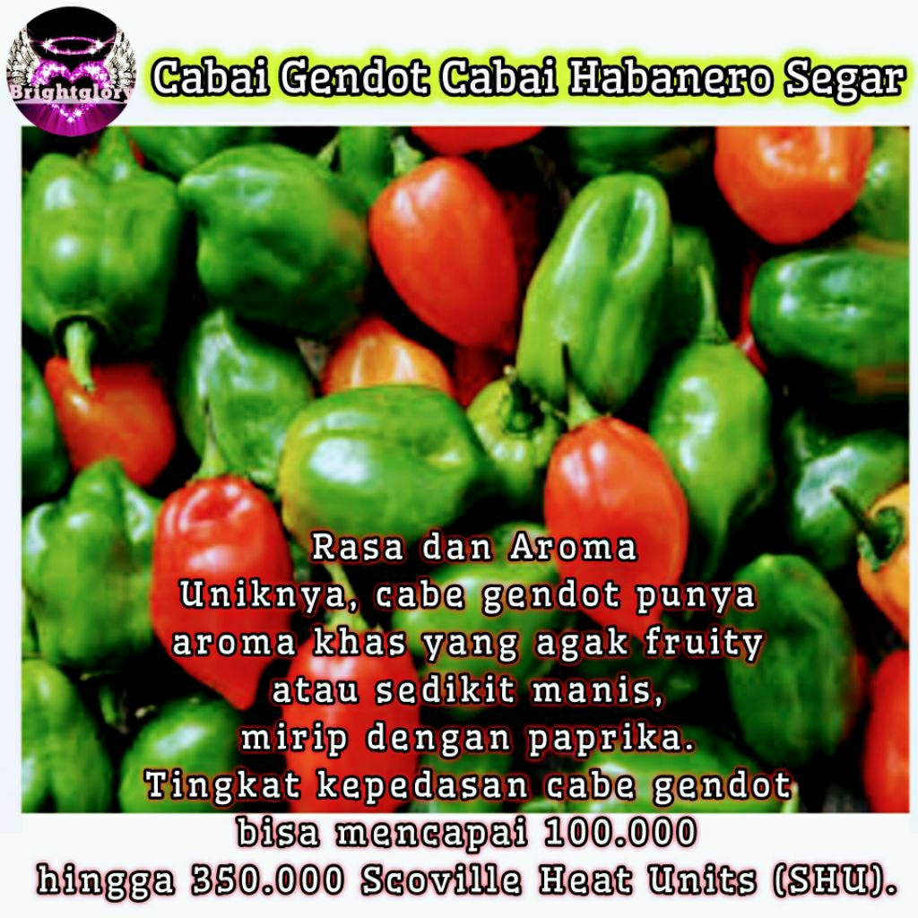 Cabai Gendot Cabai Habanero Segar Bersih 235 gr