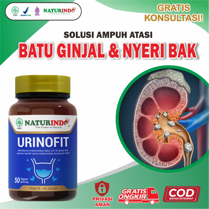 Obat Kencing Berbusa Berbuih Kencing Sakit Infeksi Saluran Kencing Herbal Ginjal Sering Kencing Urin