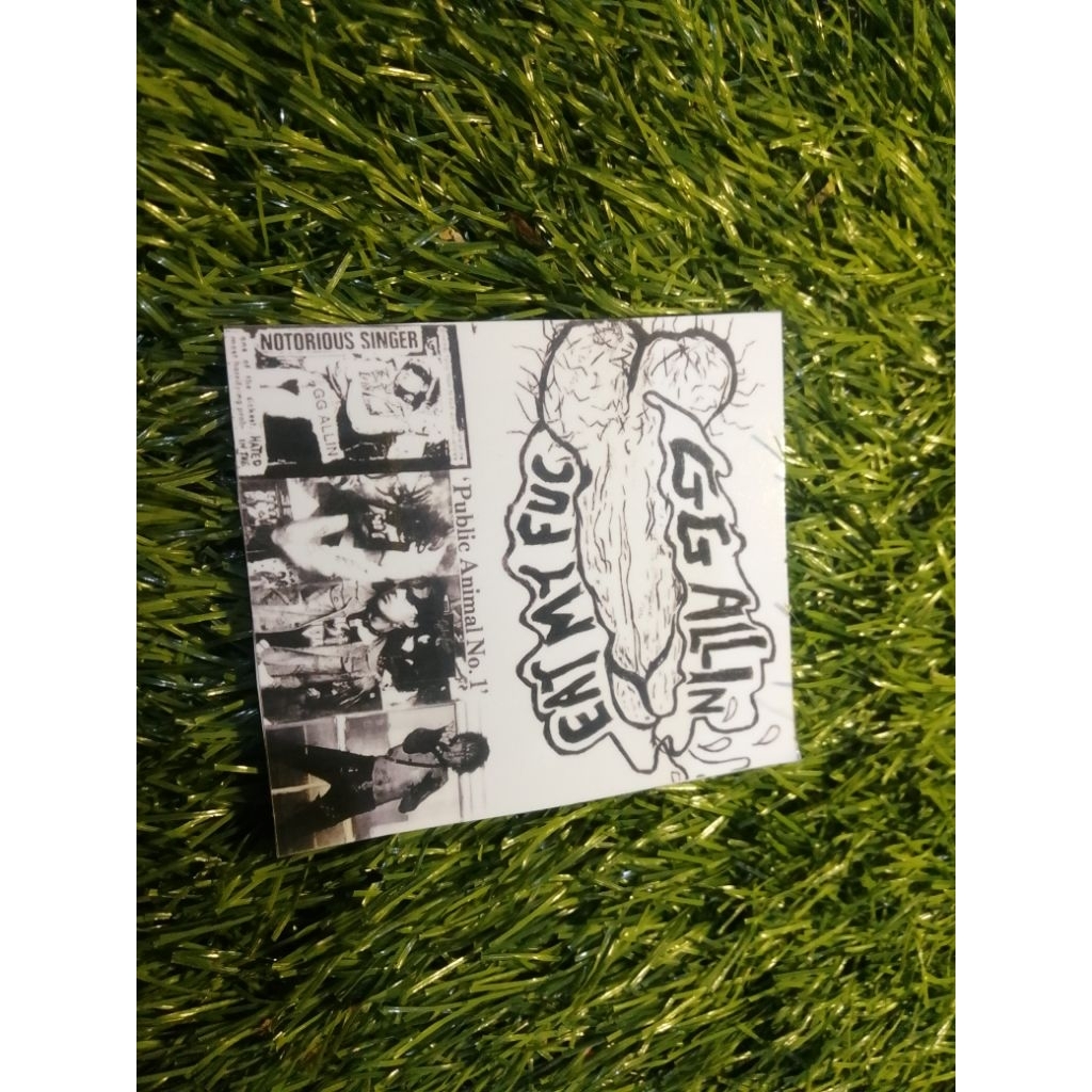 stike vinyl GG allin