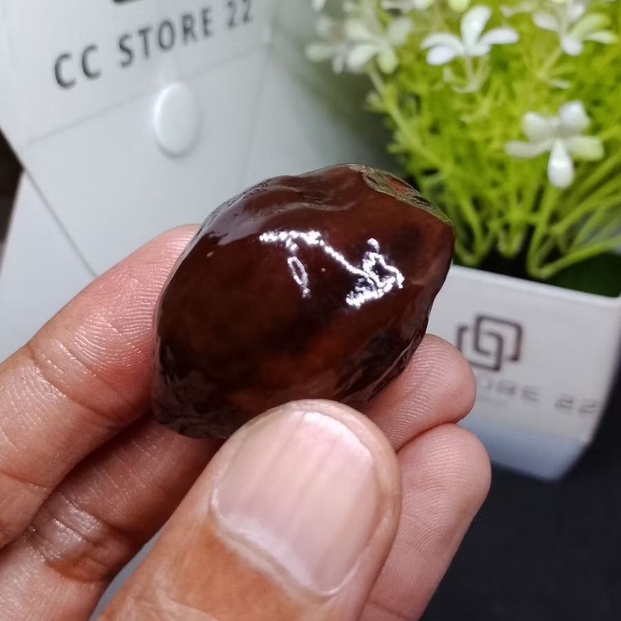 Muncang Adu Jawa Jayanti Ori Garut