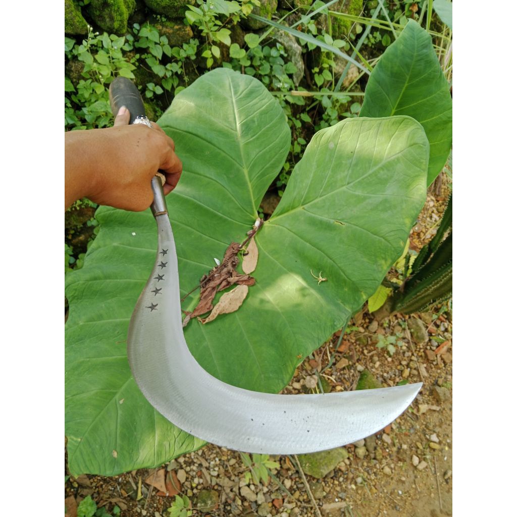 Sabit rumput alat berkebun asli baja merk bintang lima khas madura